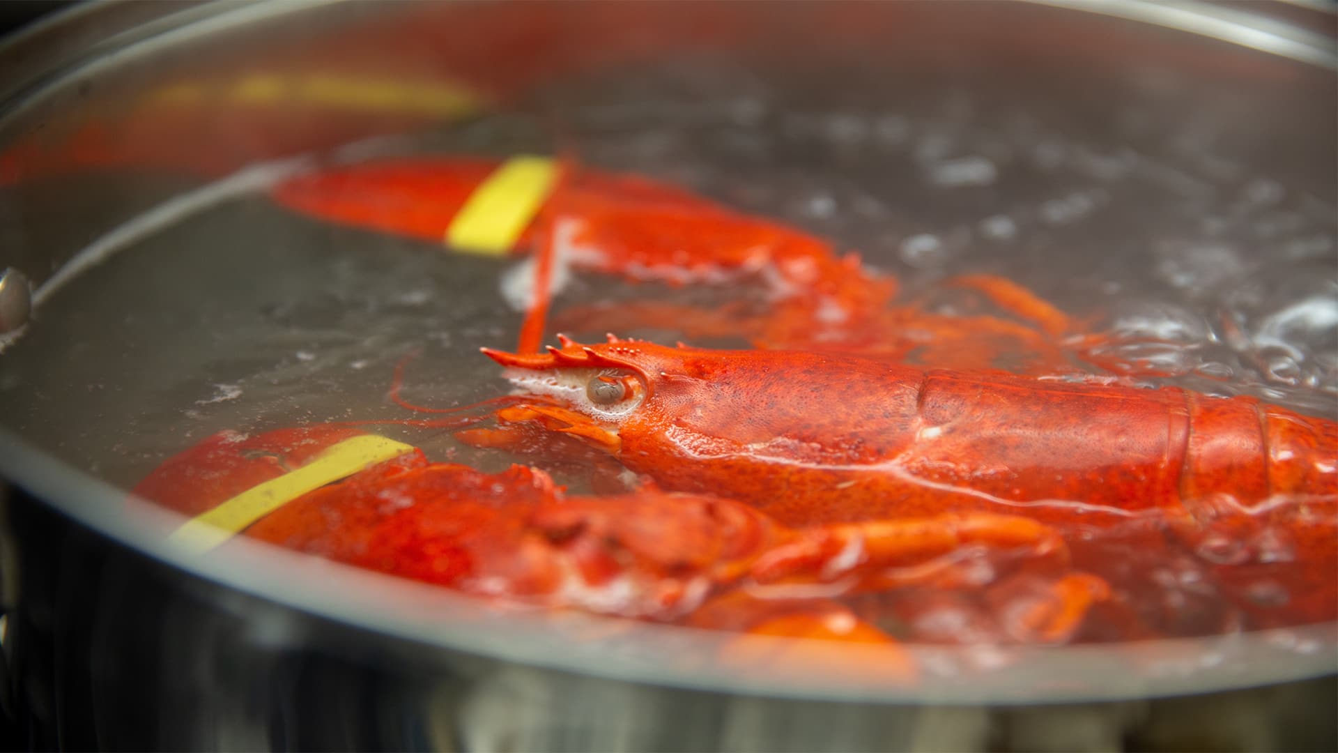 Waterfront Lobster Boil